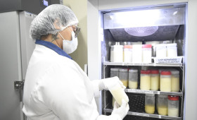 Serviços da Maternidade Dona Evangelina Rosa mantém atendimentos durante o carnaval