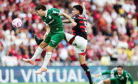 Flamengo e Palmeiras vão disputar a final da Libertadores