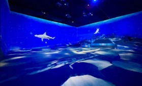 Shopping Rio Poty apresenta “Imerso Mar”, experiência aquática imersiva inédita para as férias de julho