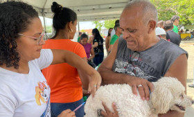 Campanha de vacina contra raiva acontece nas zonas rurais sul e sudeste no sábado (25)