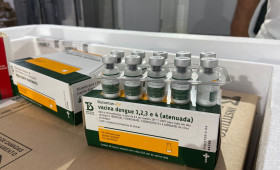 Piauí recebe primeiras doses da vacina contra a dengue para profissionais de saúde