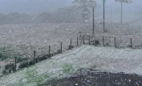Neve é registrada em diferentes regiões do Rio Grande do Sul