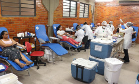 Trote solidário pode coletar até 250 bolsas de sangue em nova edição