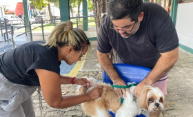FMS convoca tutores para vacinar animais contra raiva no posto da Gerência de Zoonoses