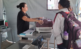 Castração gratuita chega à zona sudeste de Teresina