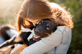 Secretaria do Planejamento realiza campanha de adoção para cães e gatos