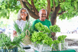 Quitanda da Agricultura Familiar retorna neste domingo (25)