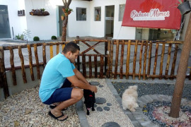 ANIMAL NÃO É COISA - É FAMÍLIA