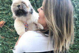 Artigo:Síndrome da Ansiedade de separação, seu cão pode estar sofrendo