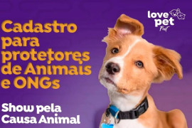 Love Pet Fest abre cadastro de Protetores de Animais e ONGs para receber doação de ração