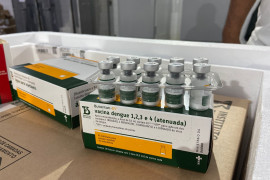 Piauí recebe primeiras doses da vacina contra a dengue para profissionais de saúde