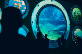 Shopping Rio Poty recebe exposição imersiva “Oceano Vivo”