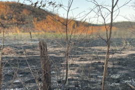 Proibição de queimadas entra em vigor no Piauí