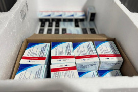 Piauí recebe 11 mil doses de vacina contra o vírus respiratório para proteger gestantes e recém-nascidos