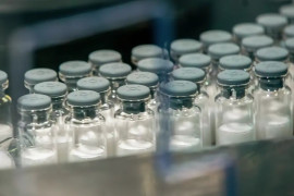 Vacina contra a dengue do Butantan começa a ser aplicada em janeiro