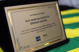 Piauí conquista Selo Ouro e mantém liderança nacional na oferta de serviços públicos digitais