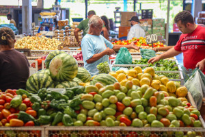 Nova Ceasa movimenta cerca de 35 mil toneladas de alimentos por mês