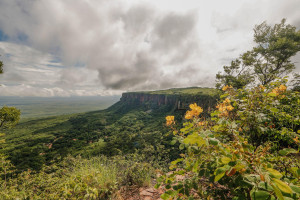 Conheça destinos imperdíveis para visitar de norte a sul no Piauí