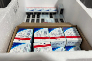Piauí recebe 11 mil doses de vacina contra o vírus respiratório para proteger gestantes e recém-nascidos