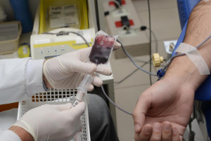 Trote Solidário convida população a doar sangue nesta terça (15) em Teresina
