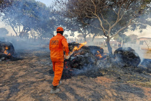 Corpo de Bombeiros registra quase 6 mil incêndios no Piauí