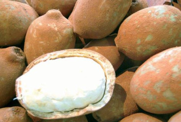 Janeiro Seco: drink de cupuaçu sem álcool é alternativa saudável