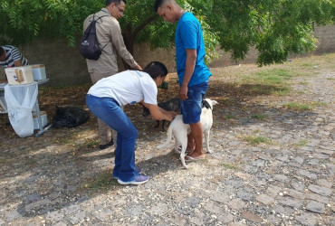 FMS divulga postos de vacinação antirrábica para etapa urbana nas zonas Norte e Leste neste sábado (9)