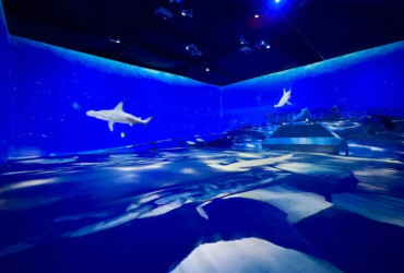 Shopping Rio Poty apresenta “Imerso Mar”, experiência aquática imersiva inédita para as férias de julho