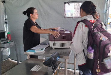 Castração gratuita chega à zona sudeste de Teresina