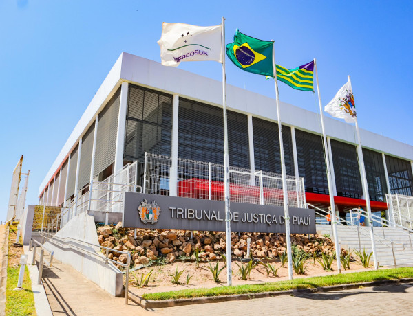 TJ-PI abre seleção para estágio de nível superior em 13 áreas