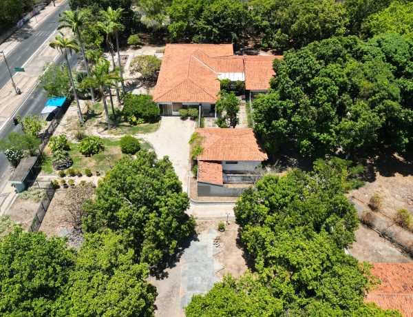 CASACOR Piauí 2026 realiza palestra “Mente e Coração” e lançamento de livro nesta segunda (19/01)